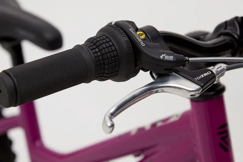 Ridgeback Harmony 20 Kids Bike in Purple-2